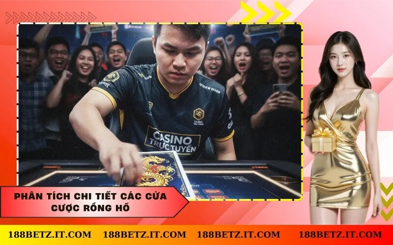 Phân tích chi tiết các cửa cược Rồng Hổ